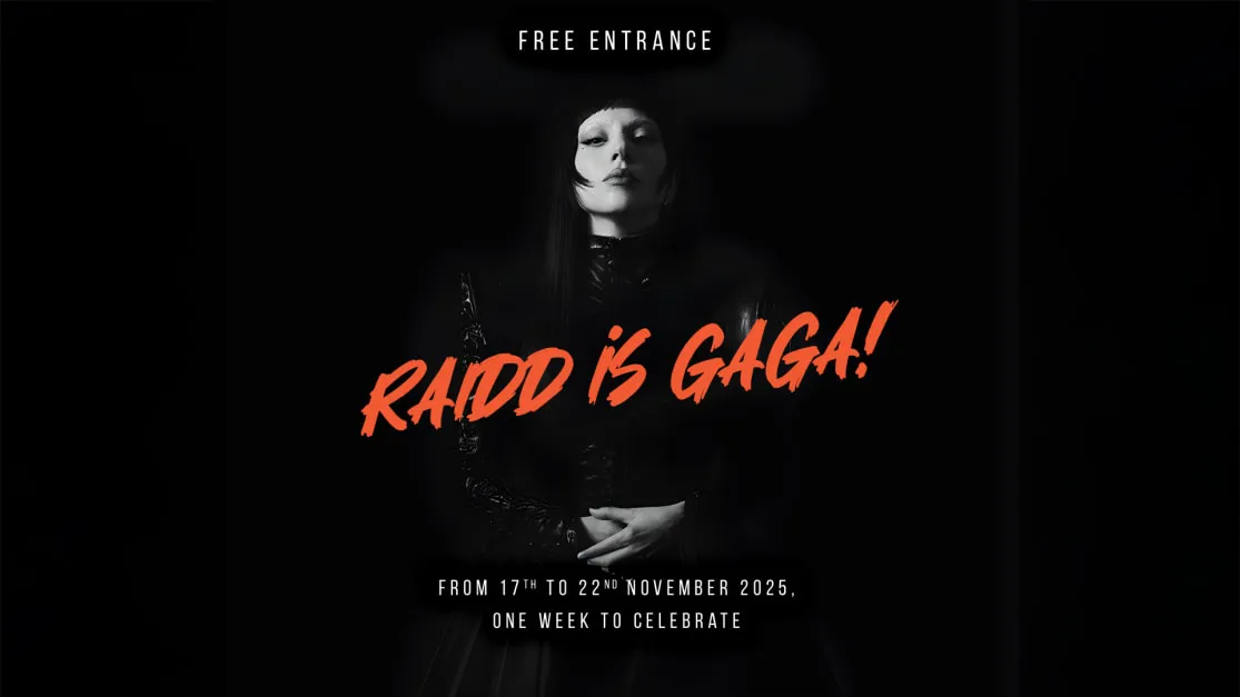 Raidd Is Gaga