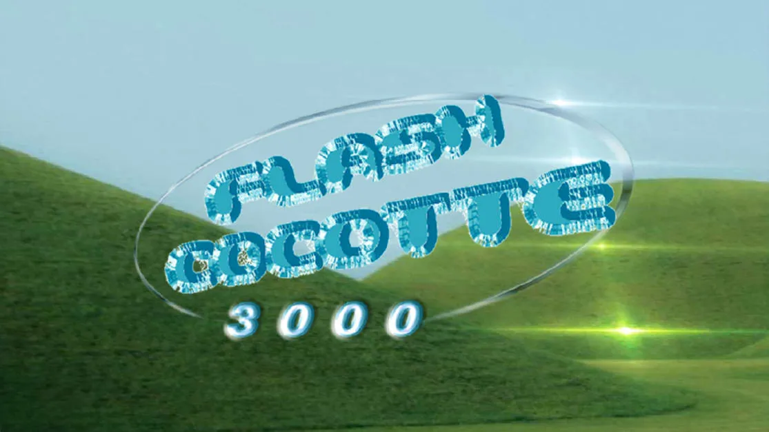 Flash Cocotte 3000 @ Le Chinois