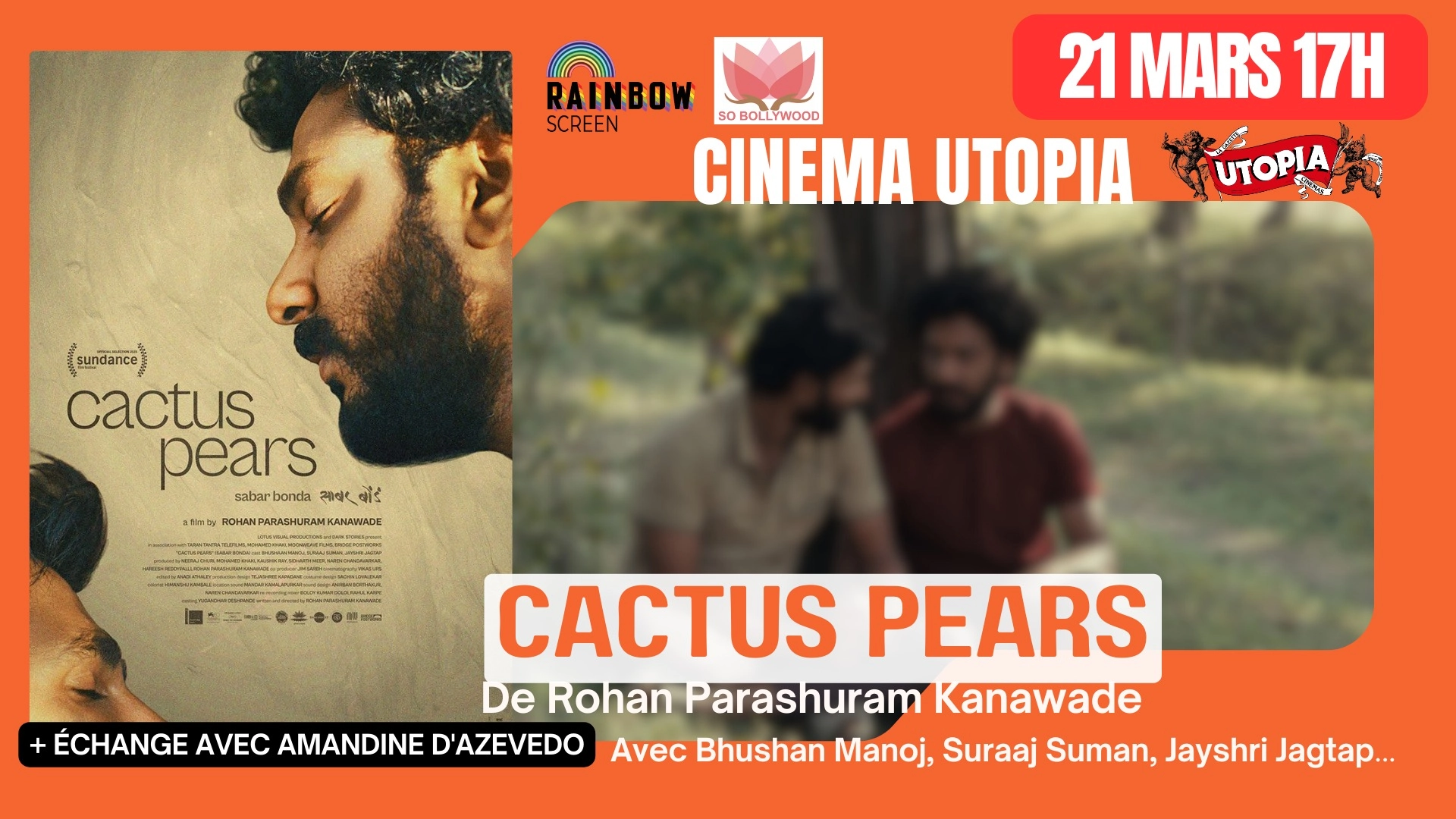 FESTIVAL RAINBOW SCREEN FESTIVAL  / CACTUS PEARS