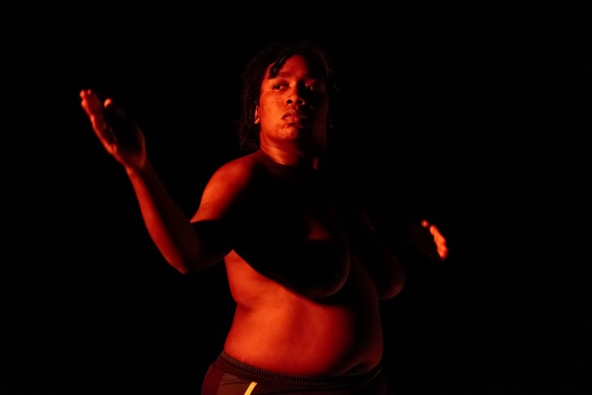 Soirée Rhizome #Festival Artdanthé : Eli Mathieu-Bustos - Darius Dolatyari-Dolatdoust