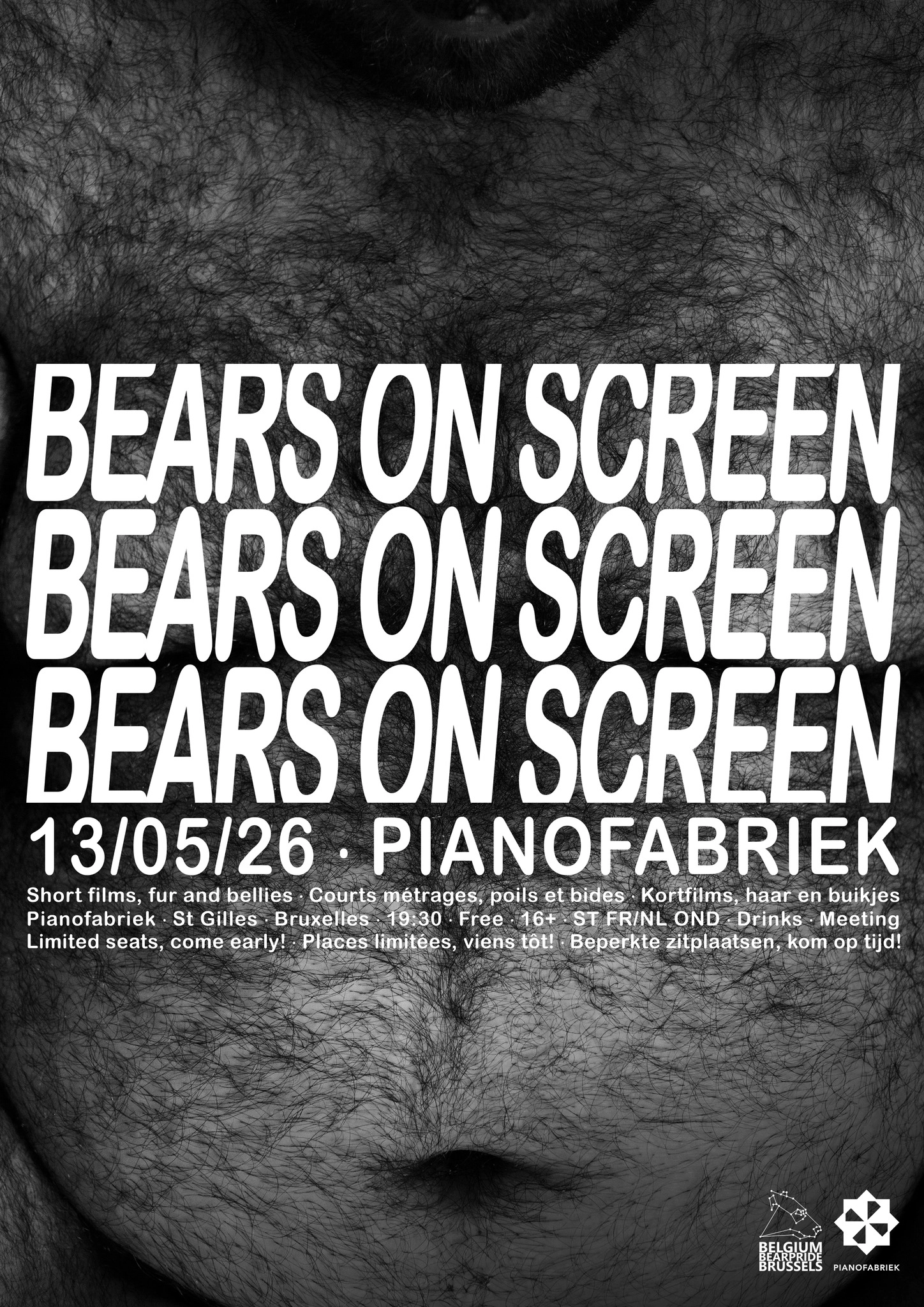 Bears on Screen