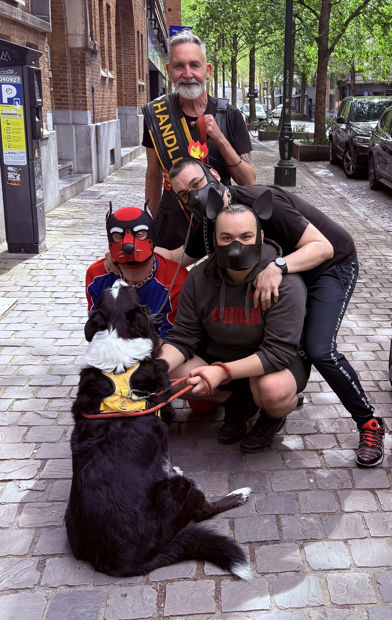 Meet and Greet Pack Nek alias MSC