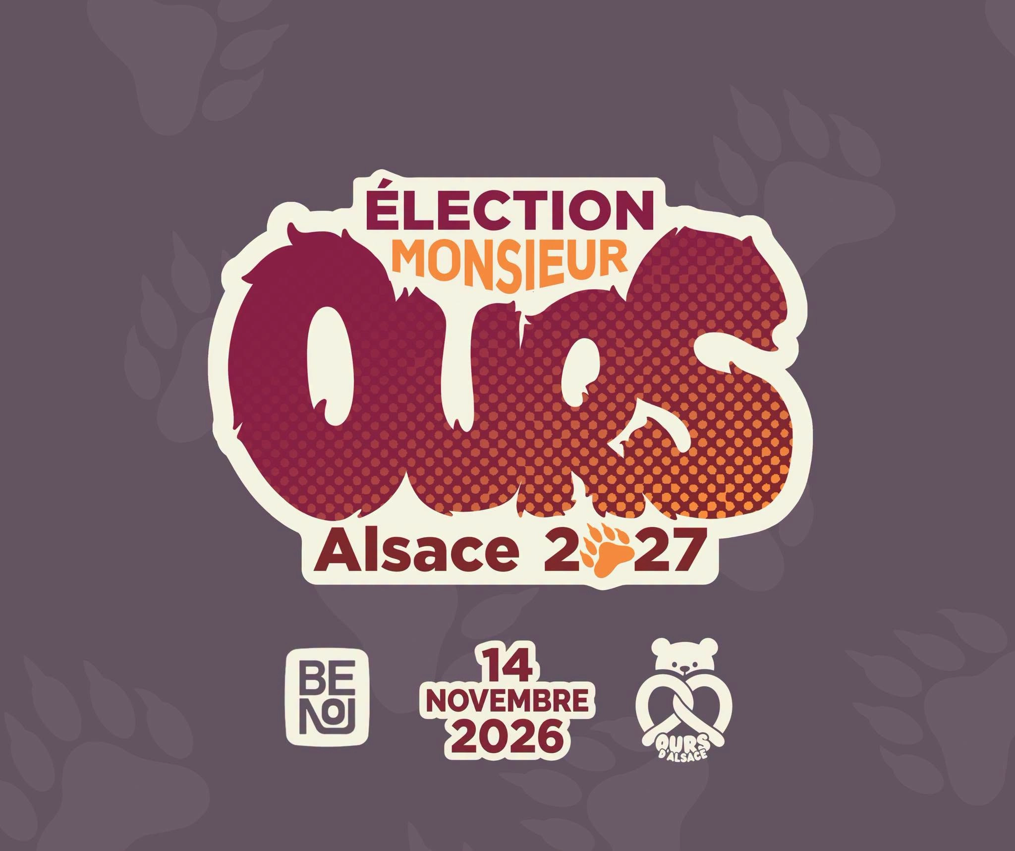 &Eacute;lection Monsieur Ours Alsace 2027